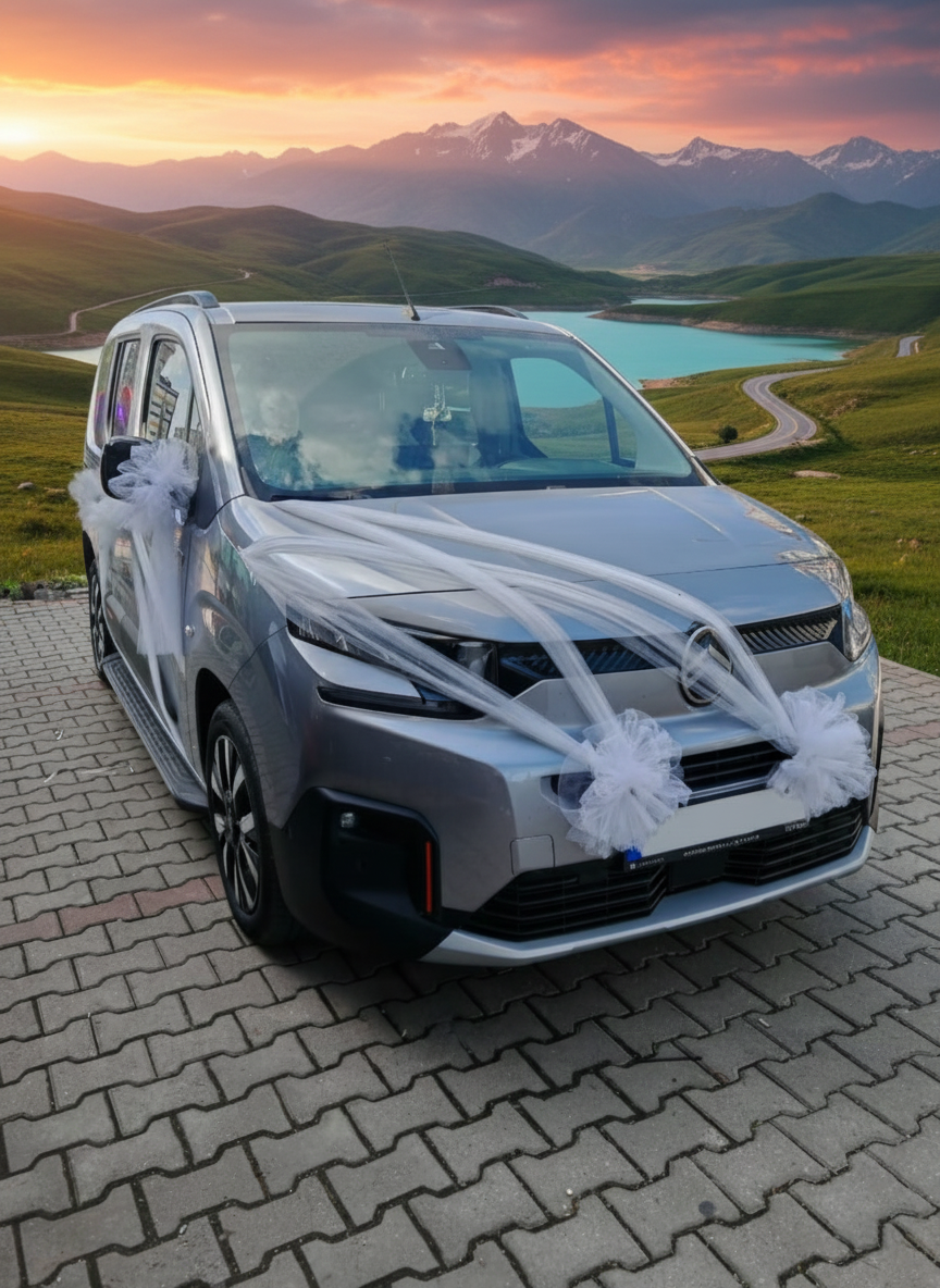 Gelin Arabası Çiçek Modelleri 6